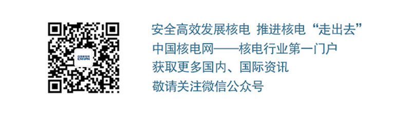 中國核電網